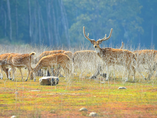 考比特国家公园