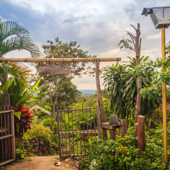 Vintage bamboo and wooden entrance gate. Traditional gate and fence of ancient village. Wooden and bamboo gate in Thailand rural courtyard. A gate made of bamboo and wood in a village in a rural area.