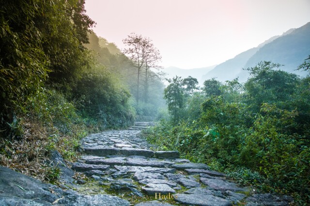 酒醉人不知 秋入山林间
