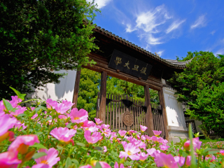 复旦大学