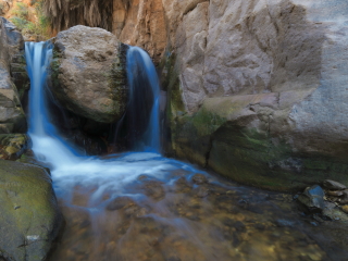 穆吉布自然保护区