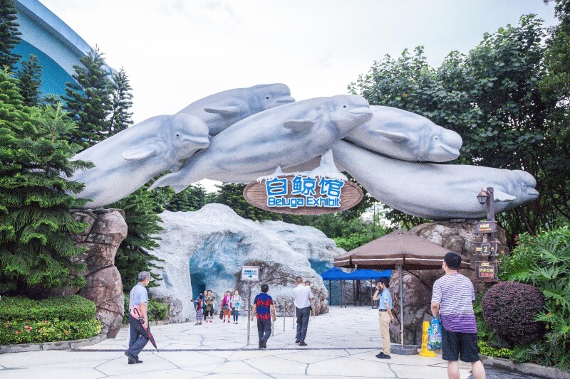 我的小长假#在珠海,来一场可以遇见海洋的假期