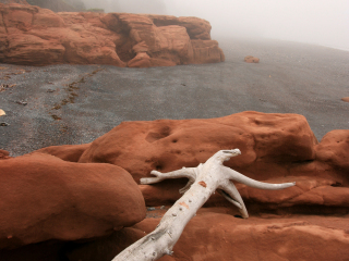希格内克托角省级公园