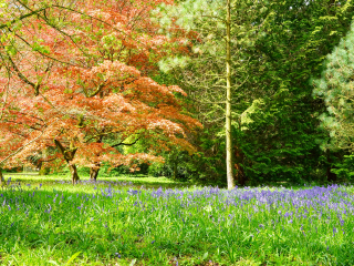 韦斯顿伯特植物园