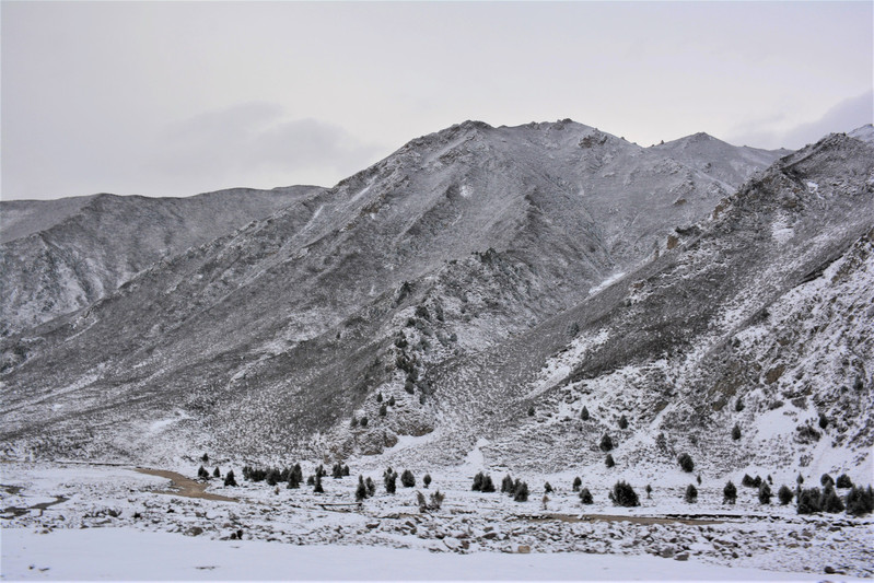 由於雪未停,師傅也沒帶防滑鏈,我們決定今天不翻越祁連山,明天再走