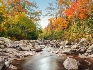 布赖顿角高地国家公园