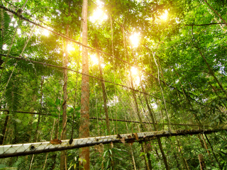 瓜拉大汉国家公园