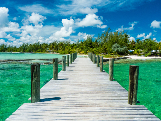 安德罗斯岛珊瑚礁