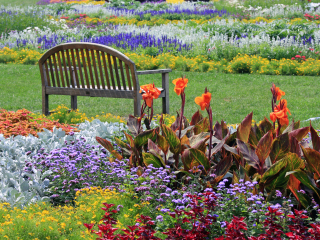 林肯公园动物园