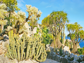 摩纳哥热带植物园