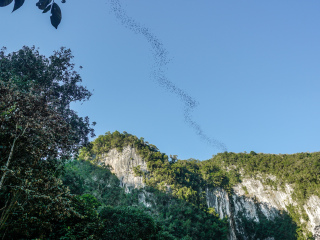 姆鲁山国家公园