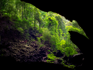 姆鲁山国家公园