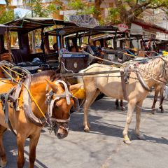 horse drawn carriage in the old spanish town in vigan, south ilocos, philippines
