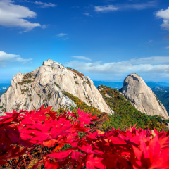 Baegundae peak and Bukhansan mountains in autumn,Seoul in South Korea.
