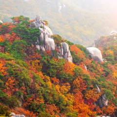 Bukhansan mountains in autumn,Seoul in South Korea.
