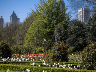 亚特兰大植物园