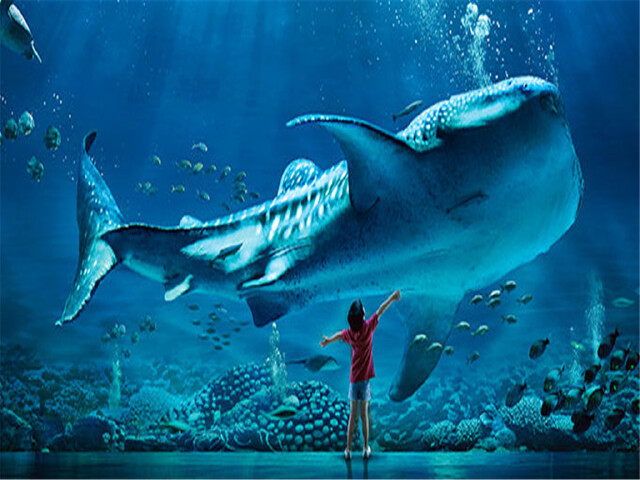  广州长隆大马戏-野生动物园-欢乐世界-珠海长隆海洋王国双飞半自助5