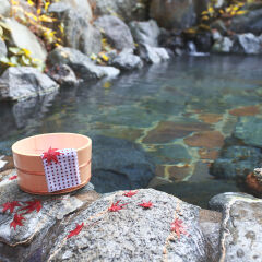 Japanese-style hot spring in autumn