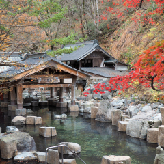 Takaragawa onsen hot spring with colorful trees in autumn, Gunma Japan