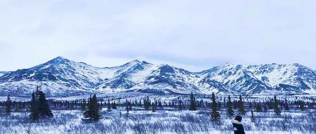  Ultimate Guide to Travel to Alaska in December: Experience the Winter Wonderland