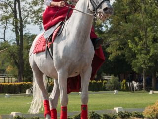 拉萨尔马术公园