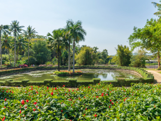 兴隆热带植物园