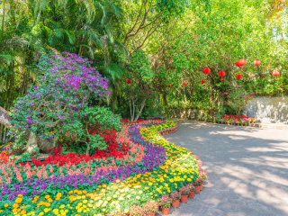 兴隆热带植物园