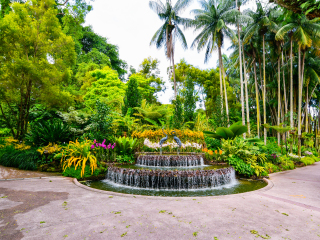 新加坡植物园