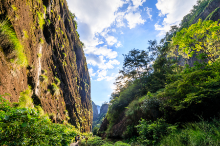 <武夷山-茶旅体验-下午茶4日游>私家团,当地参团,五星酒店,0自费,天游峰,武夷茶园,印象大红袍,岩骨花香漫游道 <武夷山-茶旅体验-下午茶4日游>私家团,当地参团,五星酒店,0自费,天游峰,武夷茶园,印象大红袍,岩骨花香漫游道