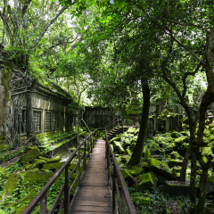 崩密列半日游 活动模块