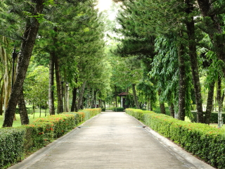 维施琳根森林公园