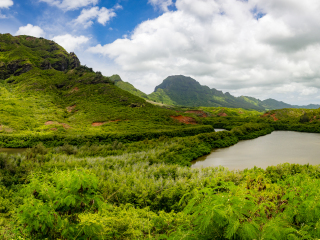 ALEKOKO梅内胡内鱼塘