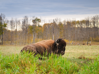 埃尔克岛国家公园