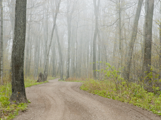 埃利森省级公园