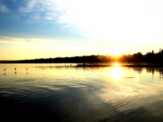 艾伯特王子公园