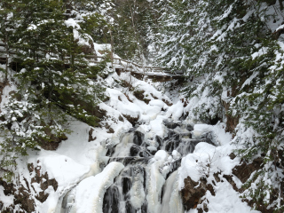 新斯科舍维多利亚公园
