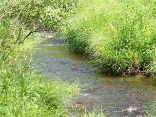 新斯科舍维多利亚公园