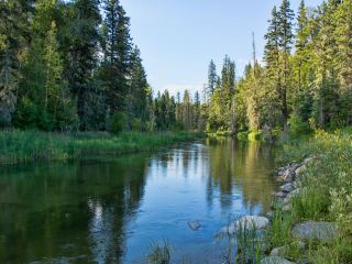 艾伯特王子公园