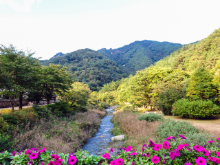闻庆鸟岭道立公园