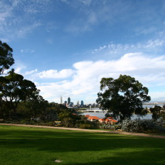 Queens garden overlooking City of Perth