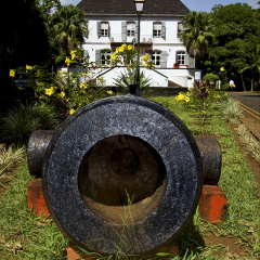 mauritius mahebourg naval museum flower and bush

