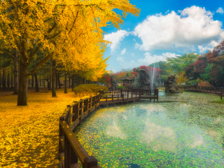 南怡岛综合休养地