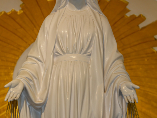 奇迹之金币圣母院