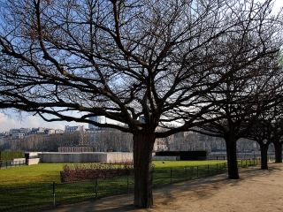 纳粹大屠杀纪念馆