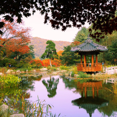 The Garden Of Morning Calm