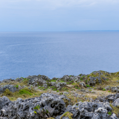 日本冲绳恩纳村万座毛海岸公园 景点模块