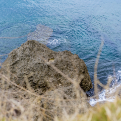 日本冲绳恩纳村万座毛海岸公园 景点模块