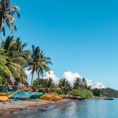Traditional and colorful Filipino boats (bangka) stranded on the beach on a sunny day in Puerto Galera, Philippines. Palm trees and vegetation in the background.