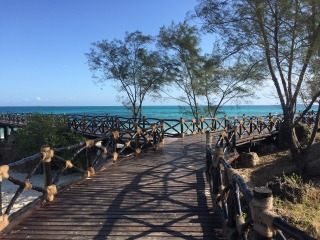 桑给巴尔乌龟岛