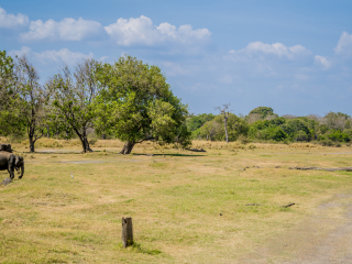 米内日亚国家公园